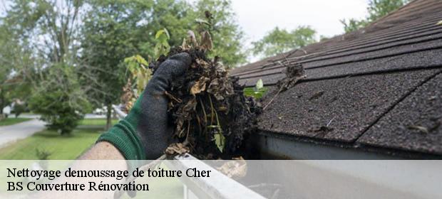 Nettoyage demoussage de toiture Cher 