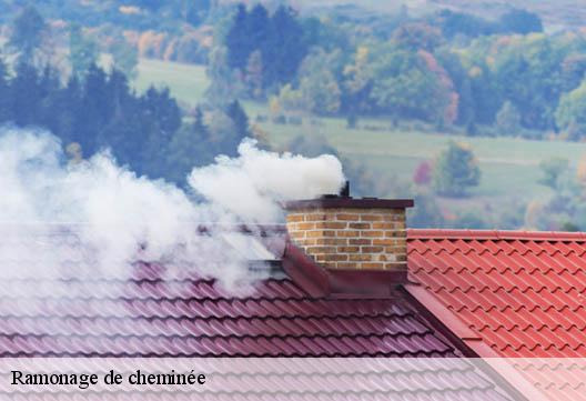Ramonage de cheminée