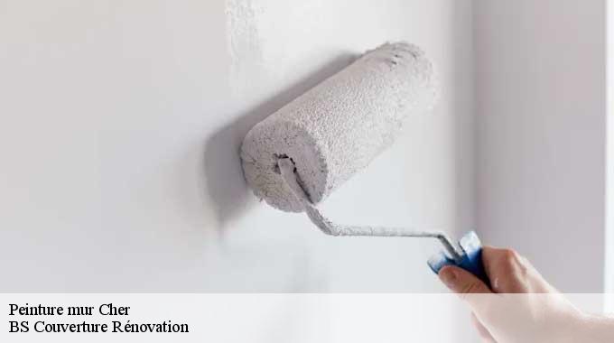Peinture mur Cher 