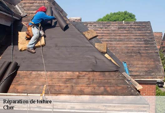 Réparation de toiture Cher