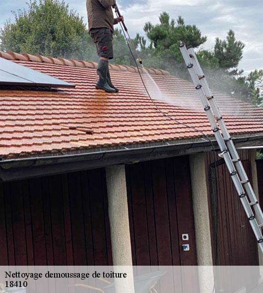 nettoyage-demoussage-de-toiture