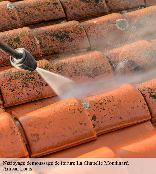 nettoyage-demoussage-de-toiture