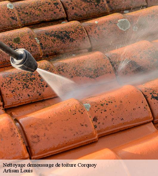 nettoyage-demoussage-de-toiture