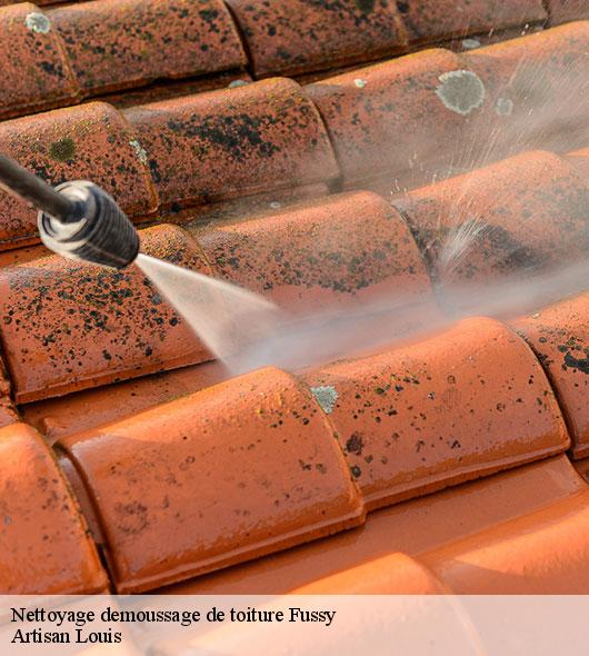 nettoyage-demoussage-de-toiture