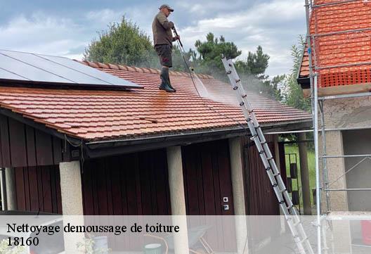Nettoyage demoussage de toiture 18160