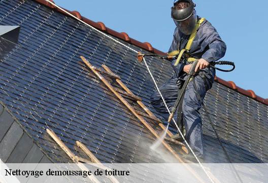 Nettoyage demoussage de toiture