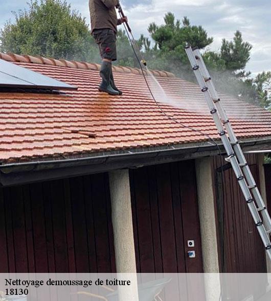 nettoyage-demoussage-de-toiture