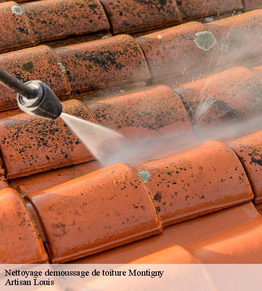 nettoyage-demoussage-de-toiture