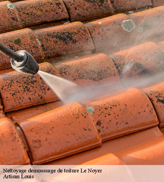 nettoyage-demoussage-de-toiture