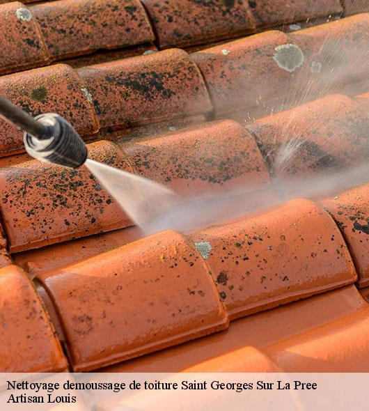 nettoyage-demoussage-de-toiture