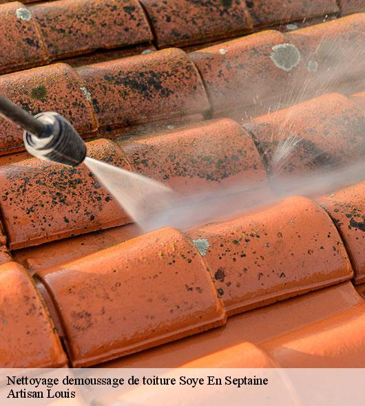 nettoyage-demoussage-de-toiture