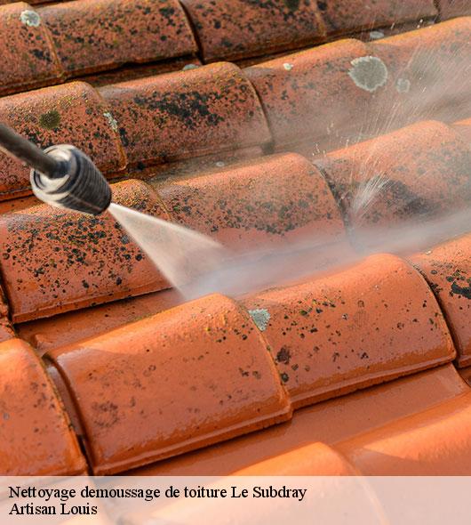 nettoyage-demoussage-de-toiture