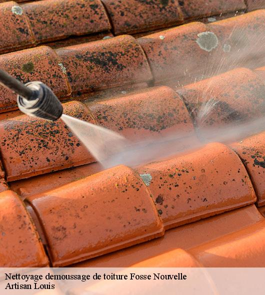 nettoyage-demoussage-de-toiture