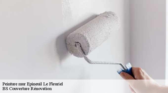 Peinture mur  18360