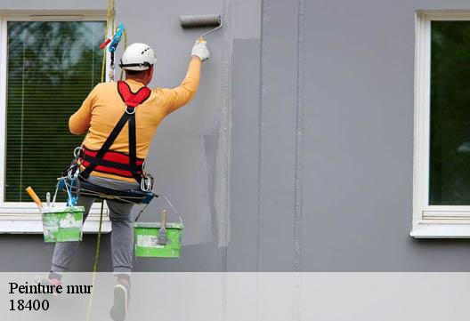Peinture mur 18400