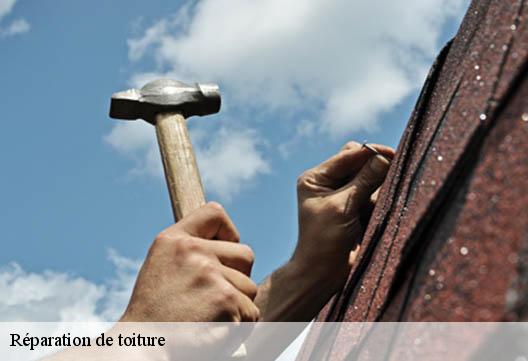 Réparation de toiture