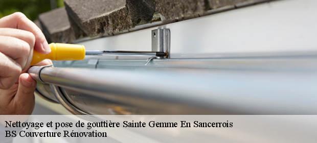 Nettoyage et pose de gouttière  18240